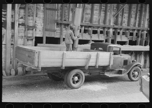 Unloading cotton seed at cotton seed oil mill, Waco, Texas