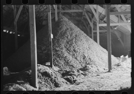 Pile of cotton seed hulls, cotton seed oil mill, Waco, Texas