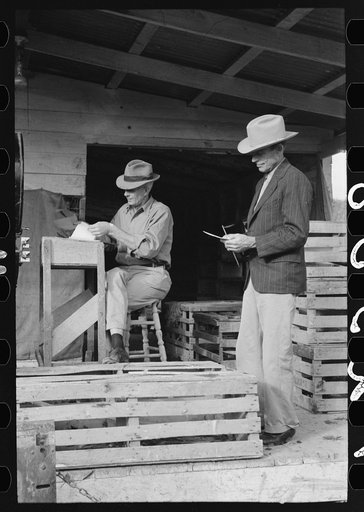 Turkey raiser at unloading platform, Brownwood, Texas