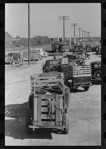 Lineup of trucks waiting to be unloaded at stockyard, San Angelo, Texas
