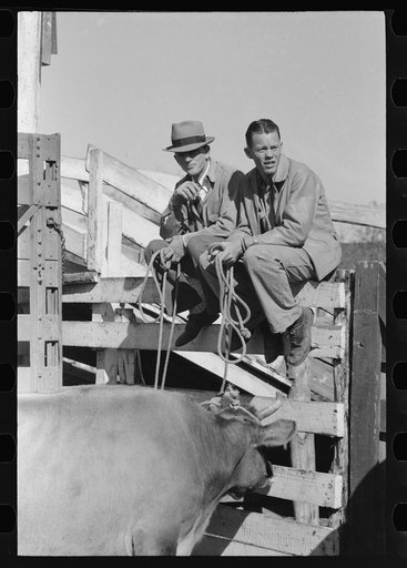 Stockmen sitting on fence at stockyard, San Angelo, Texas