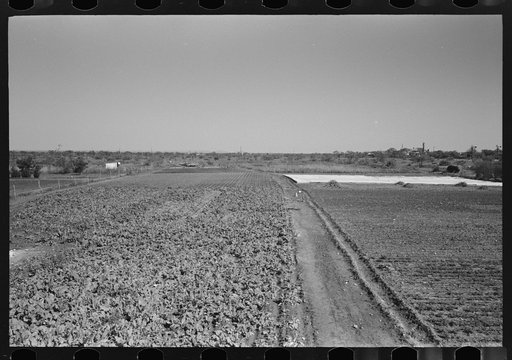 Truck farm with frame garden in background near San Angelo, Texas