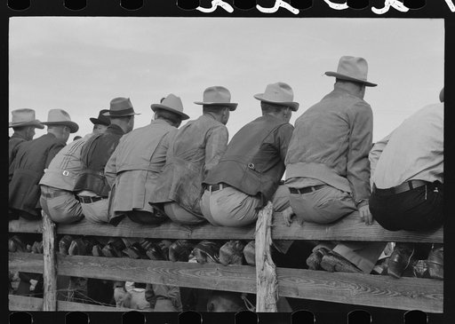 West Texans sitting on fence at horse auction, Eldorado, Texas