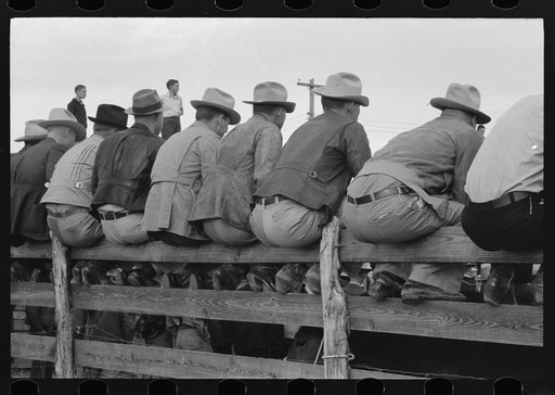Untitled photo, possibly related to: West Texans sitting on fence at horse auction, Eldorado, Texas