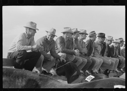 West Texans sitting on fence at horse auction, Eldorado, Texas