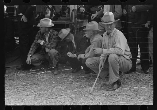 West Texans at horse auction, Eldorado, Texas
