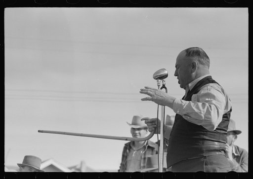 Auctioneer at horse sale, Eldorado, Texas