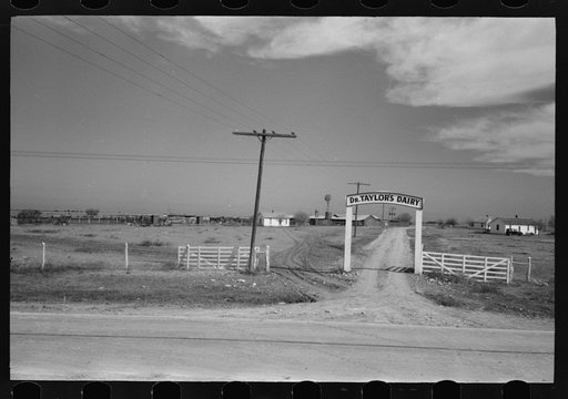 Untitled photo, possibly related to: Entrance to dairy, Tom Green County, near San Angelo, Texas