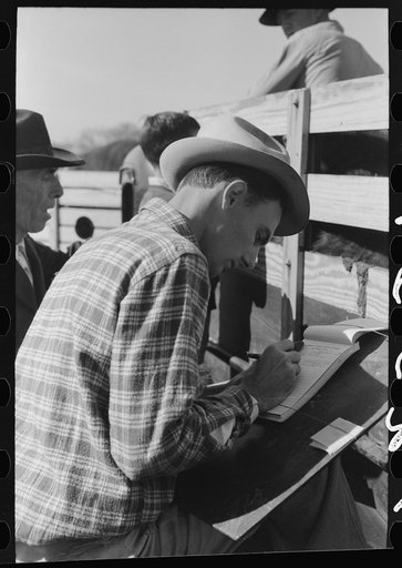 Untitled photo, possibly related to: Checker at stockyards, San Angelo, Texas
