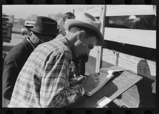 Checker at stockyards, San Angelo, Texas