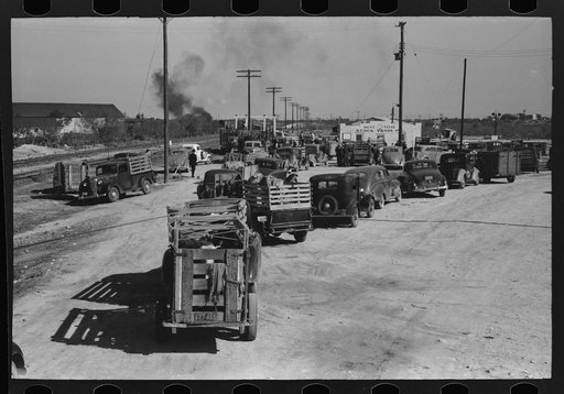 Untitled photo, possibly related to: Lineup of trucks waiting to be unloaded at stockyard, San Angelo, Texas