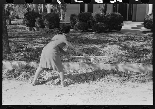 Untitled photo, possibly related to: Picking up pecans from ground, San Angelo, Texas