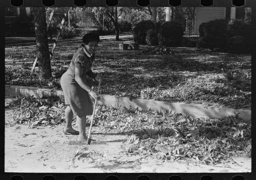 Untitled photo, possibly related to: Picking up pecans from ground, San Angelo, Texas