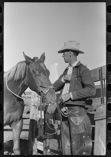 Cattleman with his horse at auction, San Angelo, Texas