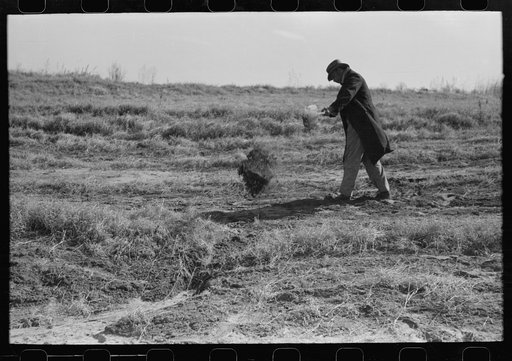 Untitled photo, possibly related to: Pomp Hall, Negro tenant farmer, digging a hole in the ground to see how far down the moisture goes, Creek County, Oklahoma. See general caption number 23