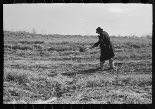 Untitled photo, possibly related to: Pomp Hall, Negro tenant farmer, digging a hole in the ground to see how far down the moisture goes, Creek County, Oklahoma. See general caption number 23