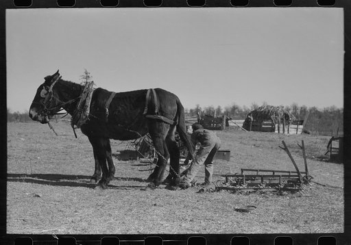 Untitled photo, possibly related to: Son of Pomp Hall, tenant farmer, going to work the field with a spike tooth harrow, Creek County, Oklahoma. See general caption number 23
