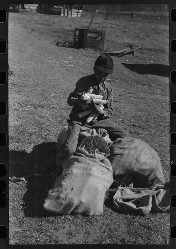 Untitled photo, possibly related to: Son of Pomp Hall, Negro tenant farmer, eating black walnuts which were grown on their farm in Creek County, Oklahoma. See general caption number 23