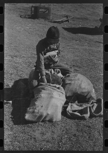 Untitled photo, possibly related to: Son of Pomp Hall, Negro tenant farmer, eating black walnuts which were grown on their farm in Creek County, Oklahoma. See general caption number 23