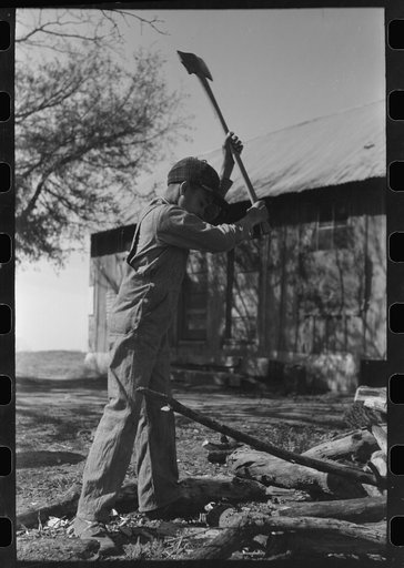 Untitled photo, possibly related to: Son of Pomp Hall, Negro tenant farmer, eating black walnuts which were grown on their farm in Creek County, Oklahoma. See general caption number 23