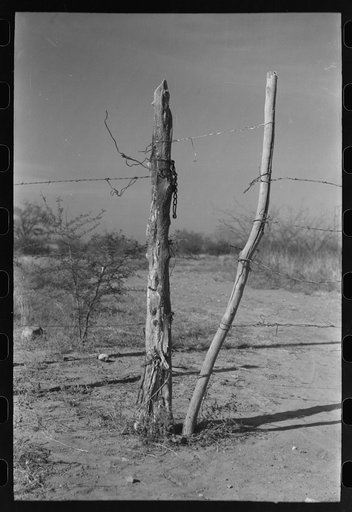 Detail of fence and gate, Laredo, Texas