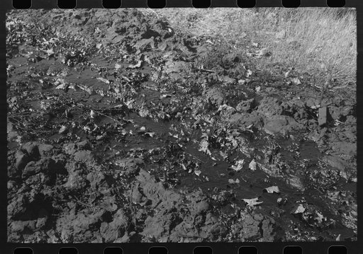Stream of waste oil flowing from tanks to slush pits across the open field, Creek County, Oklahoma