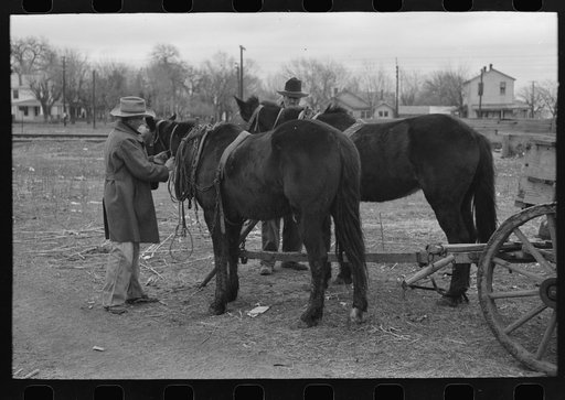 Untitled photo, possibly related to: Lot in which farmers leave their wagons and horses while attending to do business in Eufaula, Oklahoma