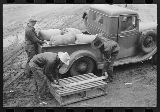 Unloading chickens at consumers poultry house, Eufaula, Oklahoma