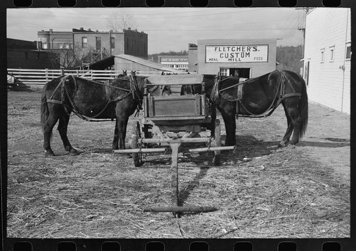 Mules hitched to wagon while farmer attends to his business in town, Eufaula, Oklahoma