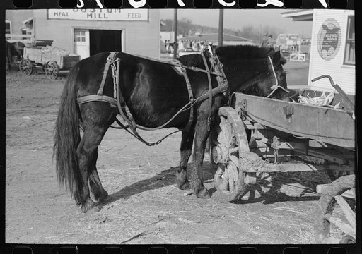 Untitled photo, possibly related to: Mules hitched to wagon while farmer attends to his business in town, Eufaula, Oklahoma