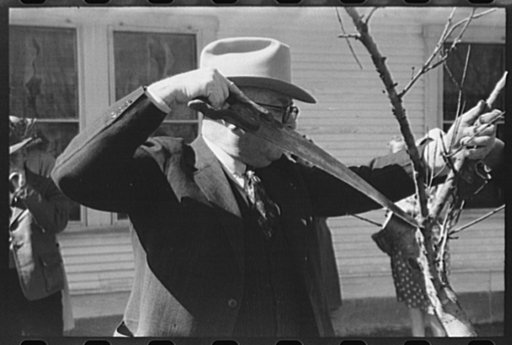 Untitled photo, possibly related to: San Angelo, Texas. FSA (Farm Security Administration) supervisor demonstrating the best method of pruning