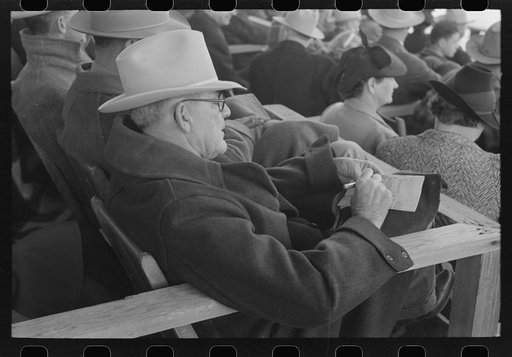 Spectator checking time of the calf ropers at the rodeo at the San Angelo Fat Stock Show, San Angelo, Texas