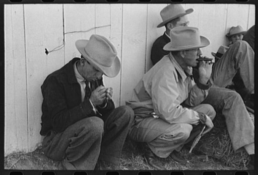 Untitled photo, possibly related to: Ranchman watching the sheep judging at the San Angelo Fat Stock Show, San Angelo, Texas