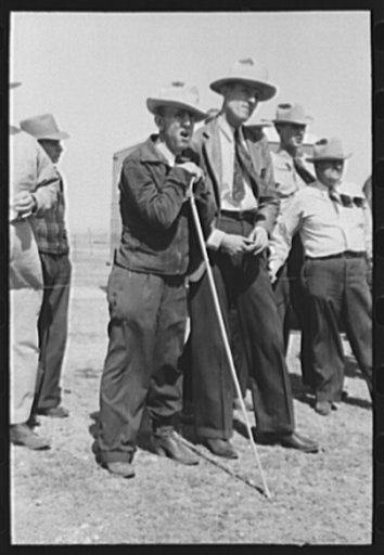Men watching the judging of Hereford steers at the San Angelo Fat Stock Show, San Angelo, Texas