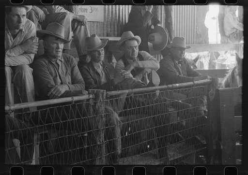 Spectators at auction of horses at the west Texas stockyards, San Angelo, Texas