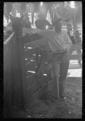 Untitled photo, possibly related to: Spectators at auction of horses at the west Texas stockyards, San Angelo, Texas