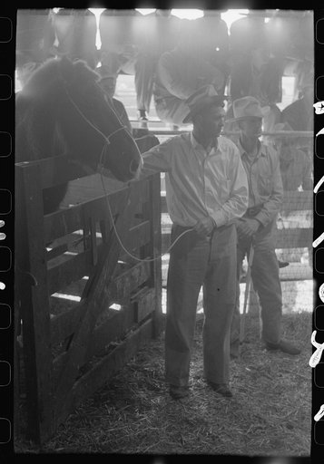 Untitled photo, possibly related to: Spectators at auction of horses at the west Texas stockyards, San Angelo, Texas