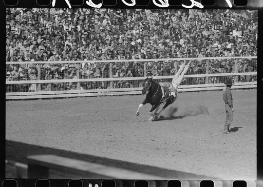 Fancy riding demonstration at the rodeo of the San Angelo Fat Stock Show, San Angelo, Texas