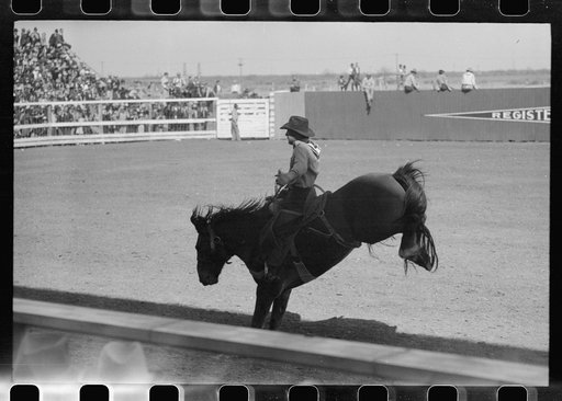 Untitled photo, possibly related to: Fancy riding demonstration at the rodeo of the San Angelo Fat Stock Show, San Angelo, Texas