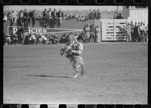 Untitled photo, possibly related to: Fancy riding demonstration at the rodeo of the San Angelo Fat Stock Show, San Angelo, Texas