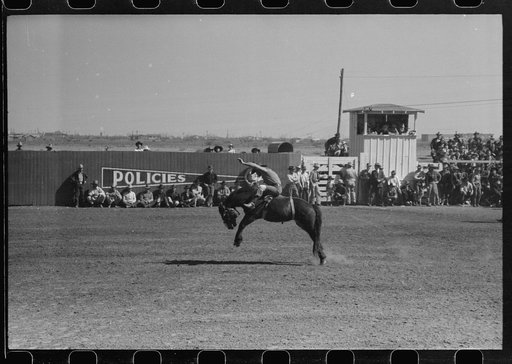 Untitled photo, possibly related to: Fancy riding demonstration at the rodeo of the San Angelo Fat Stock Show, San Angelo, Texas