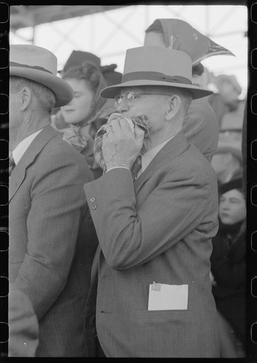Spectator watching the Brahma bull riding at the rodeo of the San Angelo Fat Stock Show, San Angelo, Texas