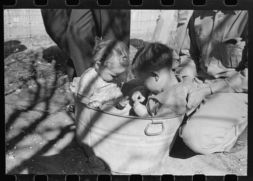 Untitled photo, possibly related to: FSA (Farm Security Administration) Supervisor and a rehabilitation borrower preparing and leveling off the seed bed of a frame garden in a demonstration meeting at San Angelo, Texas