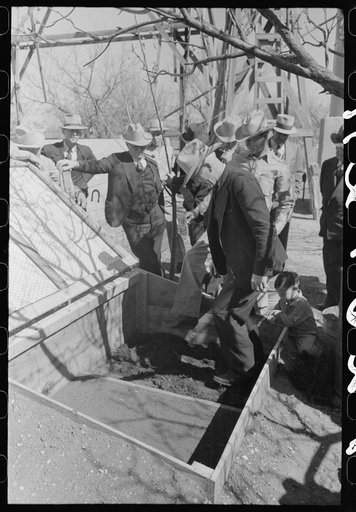 FSA (Farm Security Administration) supervisor stomping down the seed bed in a demonstration at San Angelo, Texas
