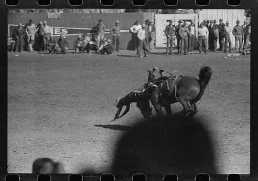 Untitled photo, possibly related to: Cowboy being thrown from bucking horse during the rodeo of the San Angelo Fat Stock Show, San Angelo, Texas