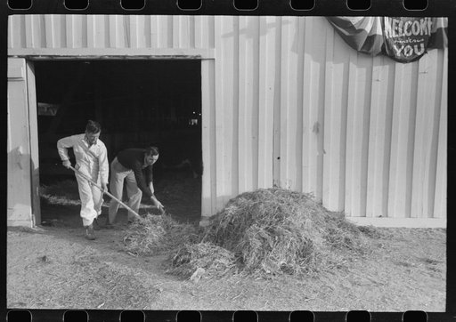 Working cowboys cleaning out the stock barns at the San Angelo Fat Stock Show, San Angelo, Texas