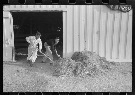 Untitled photo, possibly related to: Working cowboys cleaning out the stock barns at the San Angelo Fat Stock Show, San Angelo, Texas