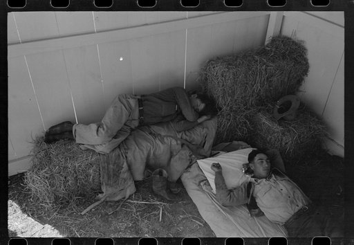 Untitled photo, possibly related to: Cowboys asleep in horse show barn at San Angelo Fat Stock Show, San Angelo, Texas