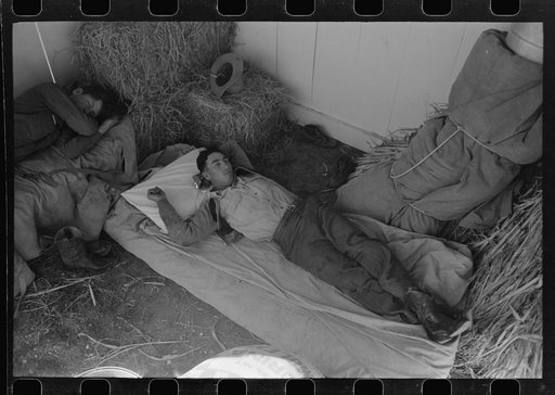 Untitled photo, possibly related to: Cowboys asleep in horse show barn at San Angelo Fat Stock Show, San Angelo, Texas