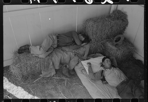 Cowboys asleep in horse show barn at San Angelo Fat Stock Show, San Angelo, Texas